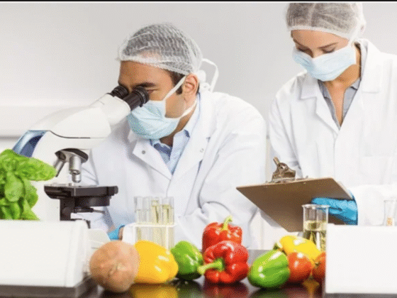 جدیدترین تحقیقات علمی درباره مواد اولیه شیمیایی مورد استفاده در صنایع غذایی